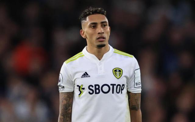 迷感到失望 迷感到失望