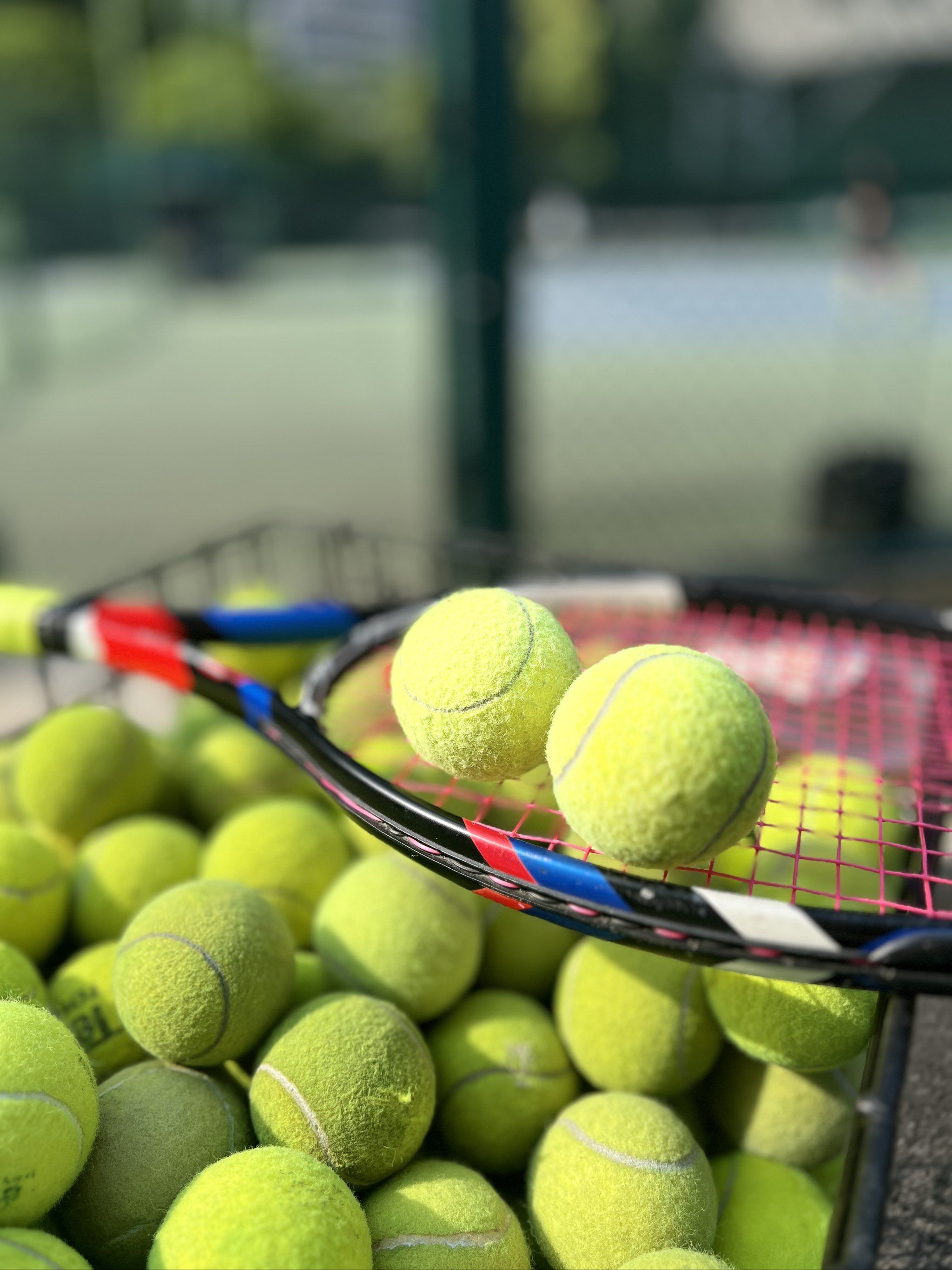 式的案例并 式的案例并